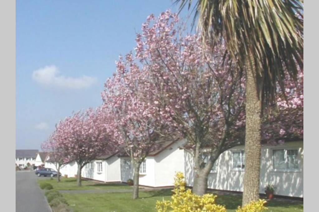 Perfect For The Family And Beaches - Gower Cwtch Villa Swansea Ngoại thất bức ảnh